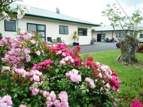 Coromandel Court Motel Екстериор снимка